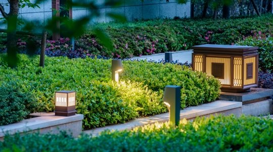 Landscape-Light
